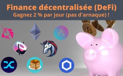 Finance Décentralisée (DeFi) : Gagnez 2% par JOUR !