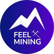 Feel Mining - DCA Cryptomonnaie
