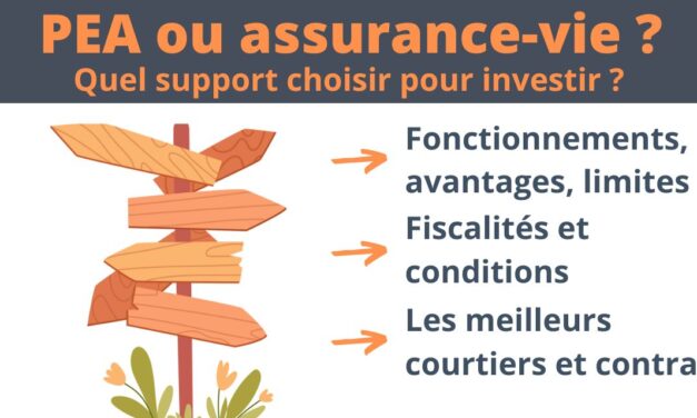 PEA ou assurance-vie : quel support choisir en 2024 ?